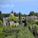 The Filerimos Monastery nestled among cypress and pine trees on Mount Filerimos in Rhodes, Greece